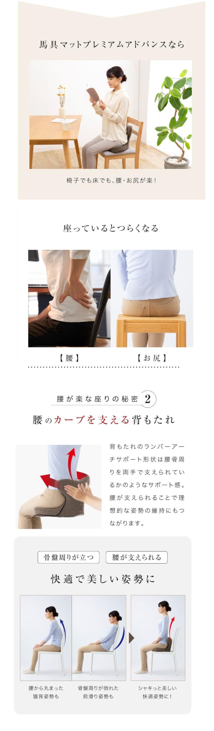 Amazon.co.jp: PROIDEA 馬具マットプレミアムアドバンス, 腰サポート